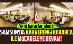 Samsun'da kahverengi kokarca ile mücadeleye devam! Yeni kararlar alındı