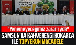 Samsun'da kahverengi kokarca ile topyekun mücadele: "Yenemeyeceğimiz zararlı yok"