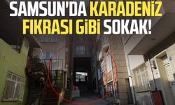 Samsun Kökçüoğlu Mahallesi'nde Karadeniz fıkrası gibi sokak!