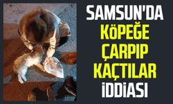 Samsun'da köpeğe çarpıp kaçtılar iddiası