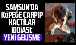 Samsun'da köpeğe çarpıp kaçtılar iddiası: Yeni gelişme