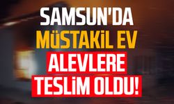 Samsun'da müstakil ev alevlere teslim oldu!