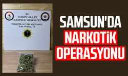 Samsun Havza'da narkotik operasyonu