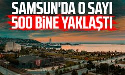 Samsun'da o sayı 500 bine yaklaştı