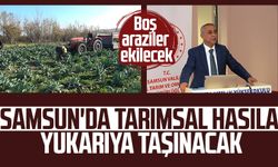 Samsun'da tarımsal hasıla yukarıya taşınacak