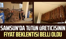 Samsun'da tütün üreticisinin fiyat beklentisi belli oldu