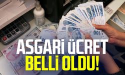 Asgari ücret belli oldu!