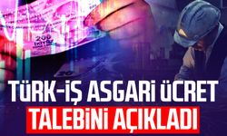 TÜRK-İŞ asgari ücret talebini açıkladı