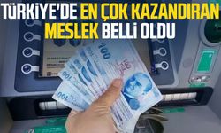 Türkiye'de en çok kazandıran meslek belli oldu