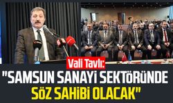 Vali Orhan Tavlı: "Samsun sanayi sektöründe söz sahibi olacak"