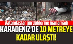 Karadeniz'de 10 metreye kadar ulaştı! Vatandaşlar gördüklerine inanamadı