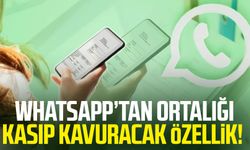 WhatsApp’tan ortalığı kasıp kavuracak özellik!