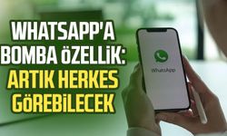 WhatsApp'a bomba özellik: Artık herkes görebilecek