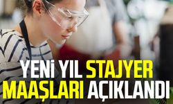 Yeni yıl stajyer maaşları açıklandı