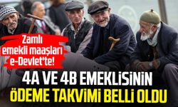 Zamlı emekli maaşları e-Devlet'te! 4A ve 4B emeklisinin ödeme takvimi belli oldu