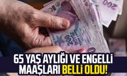 65 yaş aylığı ve engelli maaşları belli oldu!