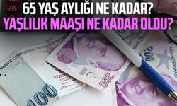 65 yaş aylığı ne kadar? Yaşlılık maaşı ne kadar oldu?