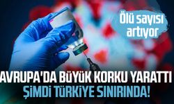 Avrupa'da büyük korku yarattı şimdi Türkiye sınırında! Ölü sayısı artıyor