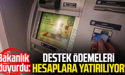 Bakanlık duyurdu: Destek ödemeleri hesaplara yatırılıyor!