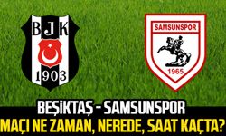 Beşiktaş - Samsunspor maçı ne zaman, nerede, saat kaçta?