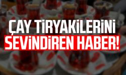 Çay tiryakilerini sevindiren haber!