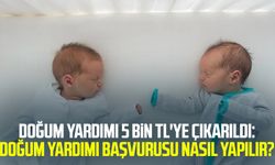 Doğum yardımı 5 bin TL'ye çıkarıldı: Doğum yardımı başvurusu nasıl yapılır?