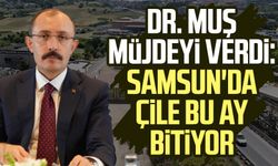 Dr. Mehmet Muş müjdeyi verdi: Samsun'da çile bu ay bitiyor