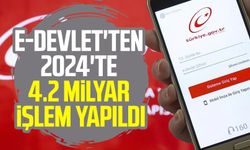 e-Devlet'ten 2024'te 4.2 milyar işlem yapıldı