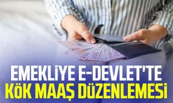 Emekliye e-Devlet'te kök maaş düzenlemesi