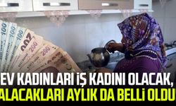 Ev kadınları iş kadını olacak, alacakları aylık da belli oldu!