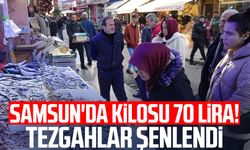 Samsun'da balık bolluğu: Kilosu 70 lira