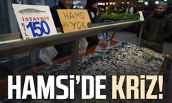 Hamside kriz! Fiyatı fırladı