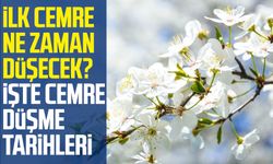 İlk cemre ne zaman düşecek? İşte cemre düşme tarihleri