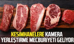 Kesimhanelere kamera yerleştirme mecburiyeti geliyor