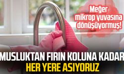 Musluktan fırın koluna kadar her yere asıyoruz: Meğer mikrop yuvasına dönüşüyormuş!