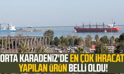 Orta Karadeniz'de en çok ihracatı yapılan ürünler belli oldu!