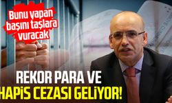 Bunu yapan başını taşlara vuracak! Rekor para ve hapis cezası geliyor