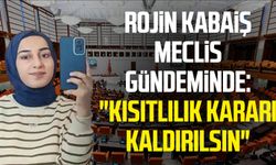 Rojin Kabaiş Meclis gündeminde: "Kısıtlılık kararı kaldırılsın"