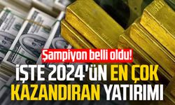 Şampiyon belli oldu! İşte 2024'ün en çok kazandıran yatırımı