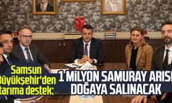 Samsun Büyükşehir'den tarıma destek: 1 milyon samuray arısı doğaya salınacak