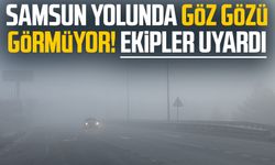 Samsun yolunda göz gözü görmüyor! Ekipler uyardı