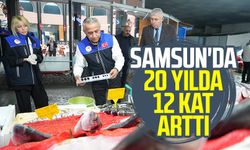 Samsun'da 20 yılda 12 kat arttı