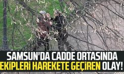 Samsun'da cadde ortasında ekipleri harekete geçiren olay!