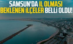 Samsun'da il olması beklenen ilçeler belli oldu!