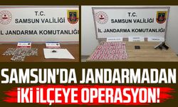 Samsun'da jandarmadan iki ilçeye operasyon!