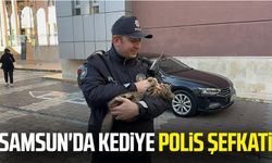 Samsun'da kediye polis şefkati