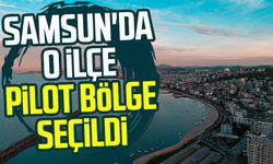 Samsun'da o ilçe pilot bölge seçildi