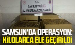 Samsun Bafra'da operasyon: Kilolarca ele geçirildi