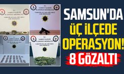 Samsun'da üç ilçede operasyon! 8 gözaltı