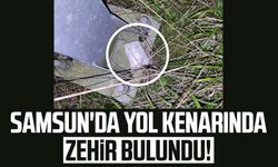 Samsun'da yol kenarında zehir bulundu!